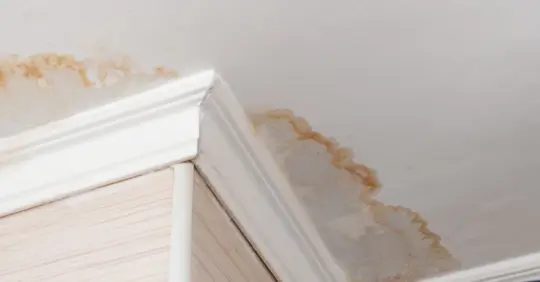 Stain on ceiling